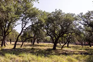 176 Jenna Ln, Harper, TX 78631 - Photo 5