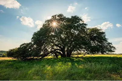 0 Fm 1888, Blanco, TX 78606 - Photo 21