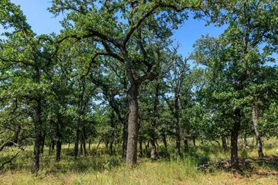 Lot 9 Mystic Oaks Trail, Fredericksburg, TX 78624 - Photo 9