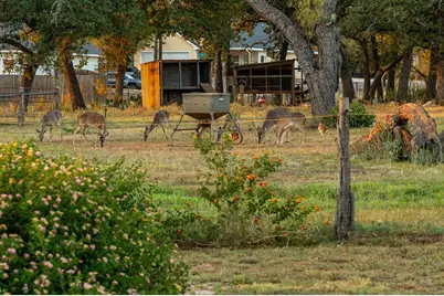 271 Smokehouse Rd, Fredericksburg, TX 78624 - Photo 59