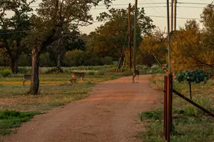 271 Smokehouse Rd, Fredericksburg, TX 78624 - Photo 67