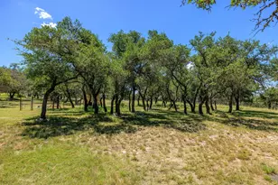 429 Spanish Oak Trail, Harper, TX 78631 - Photo 25