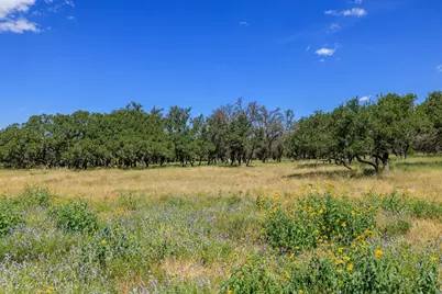 429 Spanish Oak Trail, Harper, TX 78631 - Photo 41