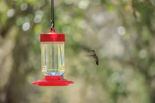 429 Spanish Oak Trail, Harper, TX 78631 - Photo 29