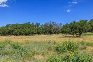 429 Spanish Oak Trail, Harper, TX 78631 - Photo 27