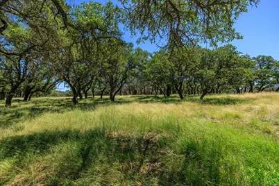 429 Spanish Oak Trail, Harper, TX 78631 - Photo 33