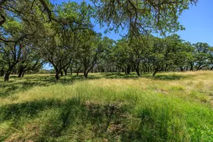 429 Spanish Oak Trail, Harper, TX 78631 - Photo 33