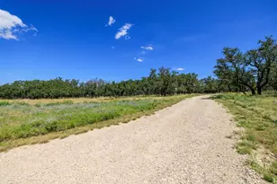 429 Spanish Oak Trail, Harper, TX 78631 - Photo 29