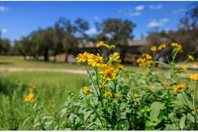 429 Spanish Oak Trail, Harper, TX 78631 - Photo 55