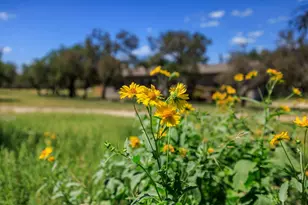 429 Spanish Oak Trail, Harper, TX 78631 - Photo 55