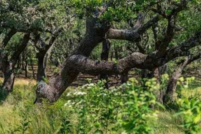 189 Fallen Acorn Dr, Blanco, TX 78606 - Photo 9