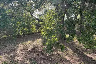 324 Misty River Run, Blanco, TX 78606 - Photo 7