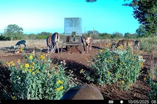 647 Funf Kinder Rd, Fredericksburg, TX 78624 - Photo 69