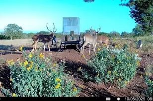 647 Funf Kinder Rd, Fredericksburg, TX 78624 - Photo 71