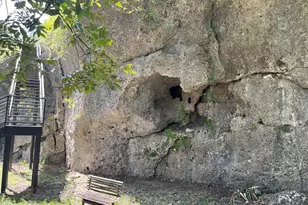 412 Field Rd, Fischer, TX 78623 - Photo 31