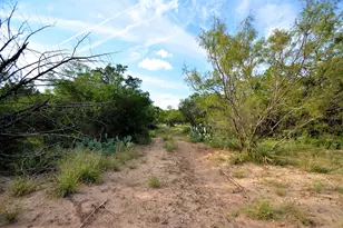 22874 Ranch Rd 385, Harper, TX 78631 - Photo 3