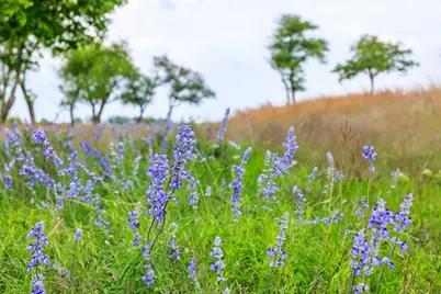 759 Hagee Drive, Fredericksburg, TX 78624 - Photo 11