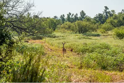 10 Slate Rock Rd, Fredericksburg, TX 78675 - Photo 13