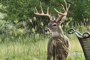 2320 Fiedler Rd, Harper, TX 78631 - Photo 73