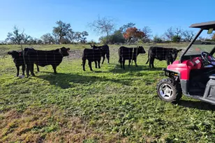 2320 Fiedler Rd, Harper, TX 78631 - Photo 63