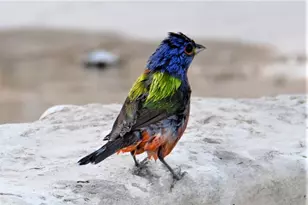 2320 Fiedler Rd, Harper, TX 78631 - Photo 61