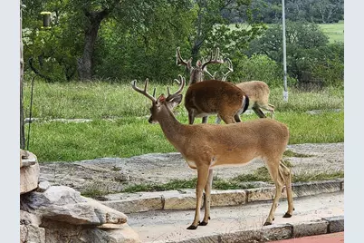 2320 Fiedler Rd, Harper, TX 78631 - Photo 67