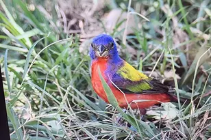 2320 Fiedler Rd, Harper, TX 78631 - Photo 57