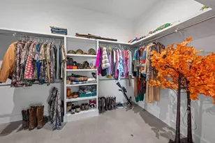 147 Gray Wolf, Blanco, TX 78606 - Photo 19