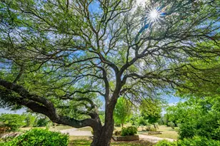 6589 FM 2093, Fredericksburg, TX 78624 - Photo 29