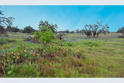1101 Dreamcatcher Ln., Fredericksburg, TX 78631 - Photo 7
