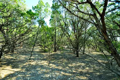 Lot 8 Private Road 1708, Mico, TX 78056 - Photo 17