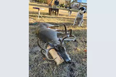 67 Hill Top Dr, Fredericksburg, TX 78624 - Photo 31