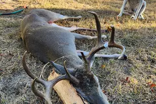 67 Hill Top Dr, Fredericksburg, TX 78624 - Photo 31