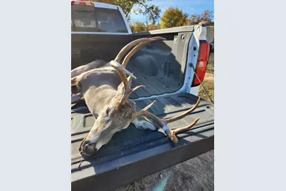 67 Hill Top Dr, Fredericksburg, TX 78624 - Photo 33