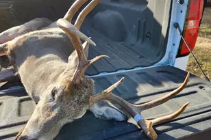 67 Hill Top Dr, Fredericksburg, TX 78624 - Photo 33