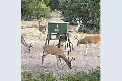 25525 Ranch Rd 2323, Fredericksburg, TX 78624 - Photo 37