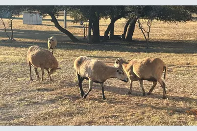 25525 Ranch Rd 2323, Fredericksburg, TX 78624 - Photo 39