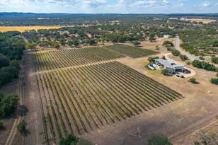 1758 Lincoln Smith Rd, Round Mountain, TX 78663 - Photo 53