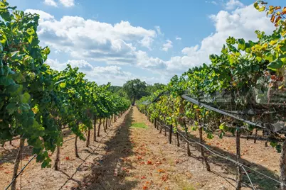 1758 Lincoln Smith Rd., Round Mountain, TX 78663 - Photo 49