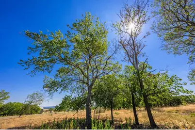 Lot 9 The Views Blvd, Fredericksburg, TX 78624 - Photo 1