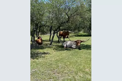 2124 Crabapple Road, Blanco, TX 78606 - Photo 31