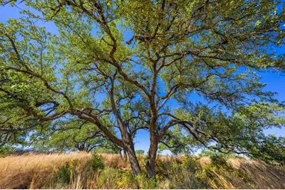 1495 Walnut Springs Rd, Johnson City, TX 78636 - Photo 19