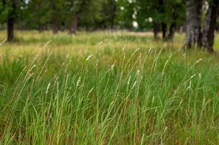 1554 Vintage Oaks Dr, Fredericksburg, TX 78624 - Photo 39