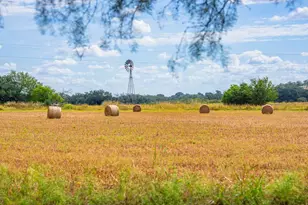 6754 N Grape Creek Rd, Fredericksburg, TX 78624 - Photo 43