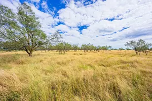 6754 N Grape Creek Rd, Fredericksburg, TX 78624 - Photo 37