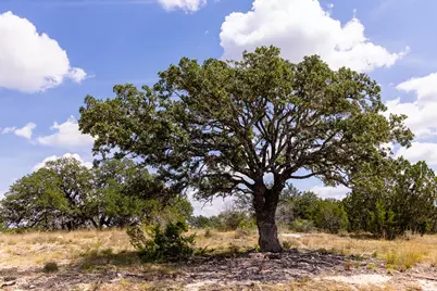493 Dark Sky Path, Kerrville, TX 78028 - Photo 9