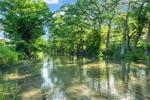 25 Zoeller Ln, Boerne, TX 78006 - Photo 47