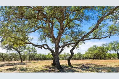 2560 Towhead Valley Road, Johnson City, TX 78636 - Photo 5