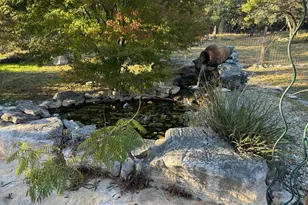 306 Charles Ranch Rd, Kerrville, TX 78028 - Photo 63