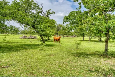 11446 N State Hwy 16, Fredericksburg, TX 78624 - Photo 11